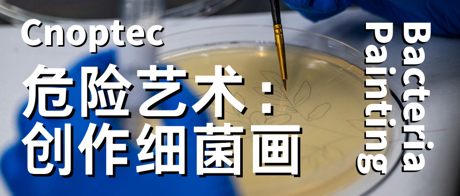 微观世界：创作细菌画，一门优雅而危险的艺术